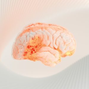 Achieving Perfect Gut-Brain Harmony