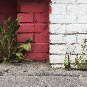 Thriving Through Transition: Navigating Major Life Changes